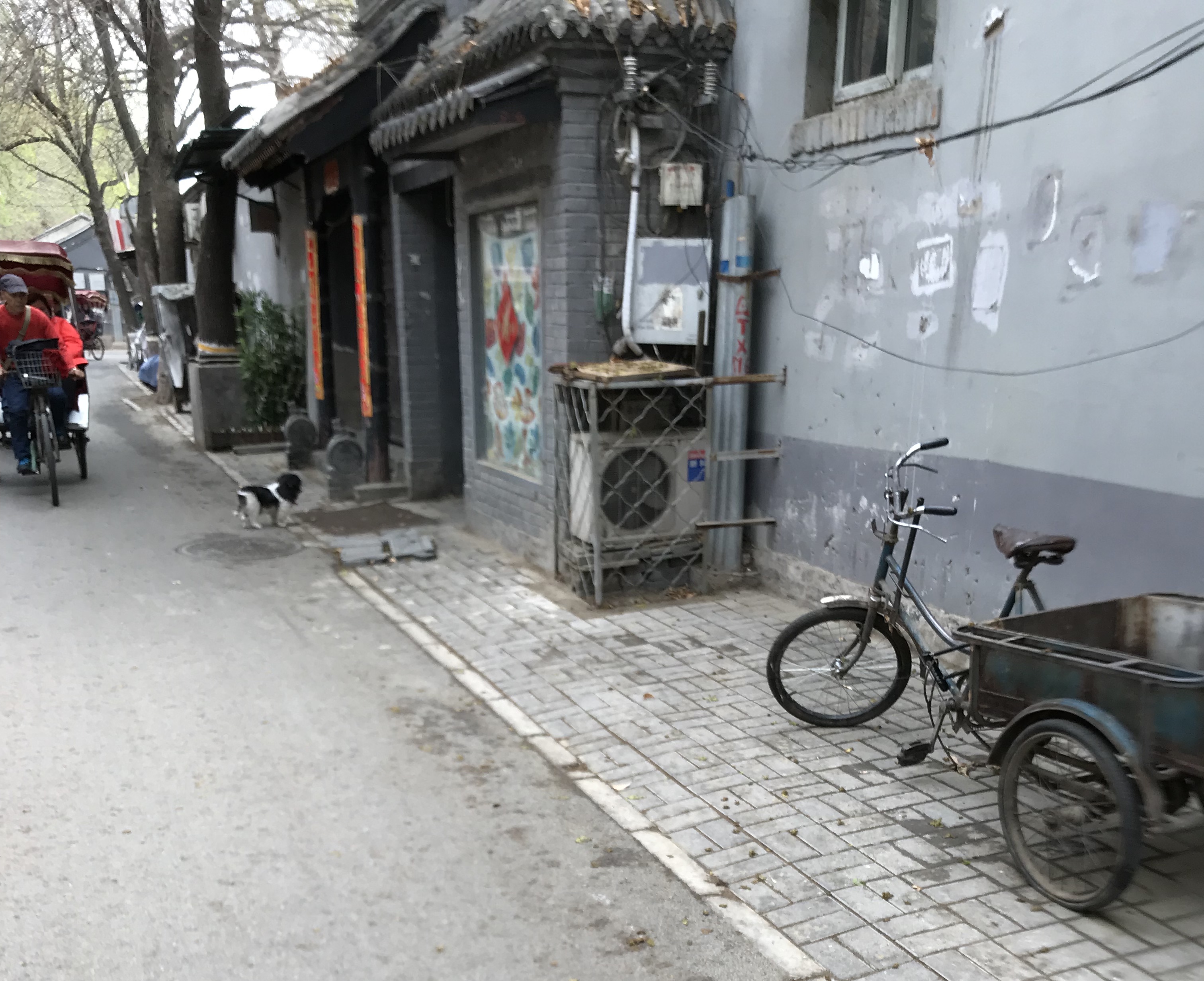 ./2018/03 - Viking China/10 - Hutong/IMG_E5947.JPG